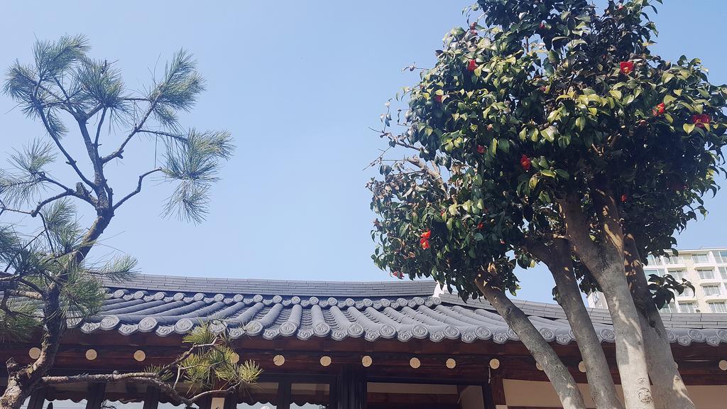 Misori Guesthouse Gwangju Metropolitan City Zewnętrze zdjęcie