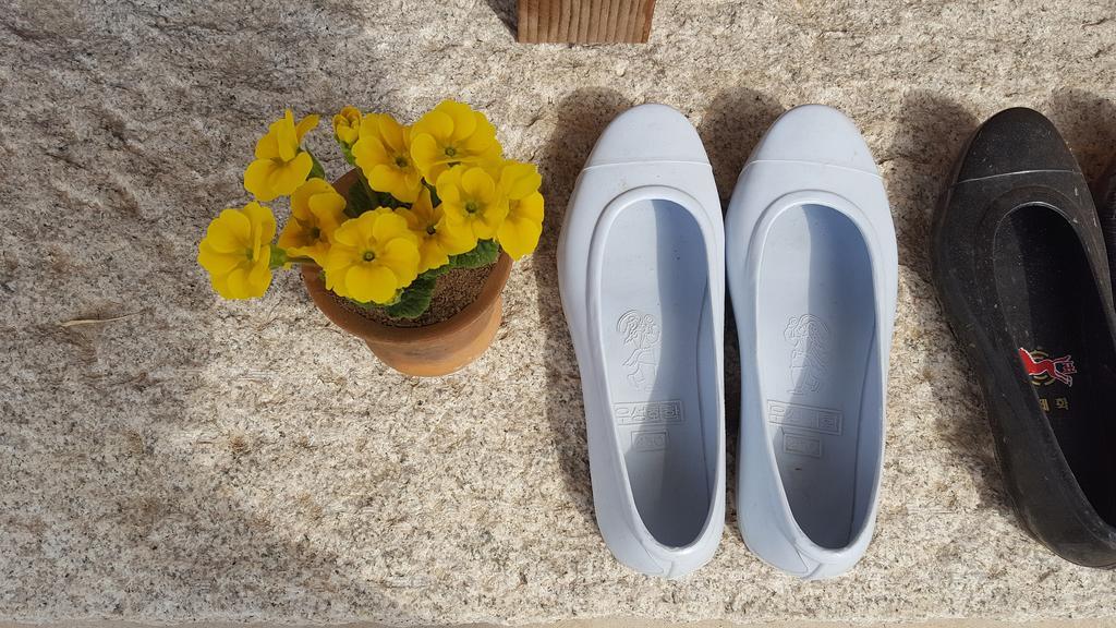 Misori Guesthouse Gwangju Metropolitan City Zewnętrze zdjęcie