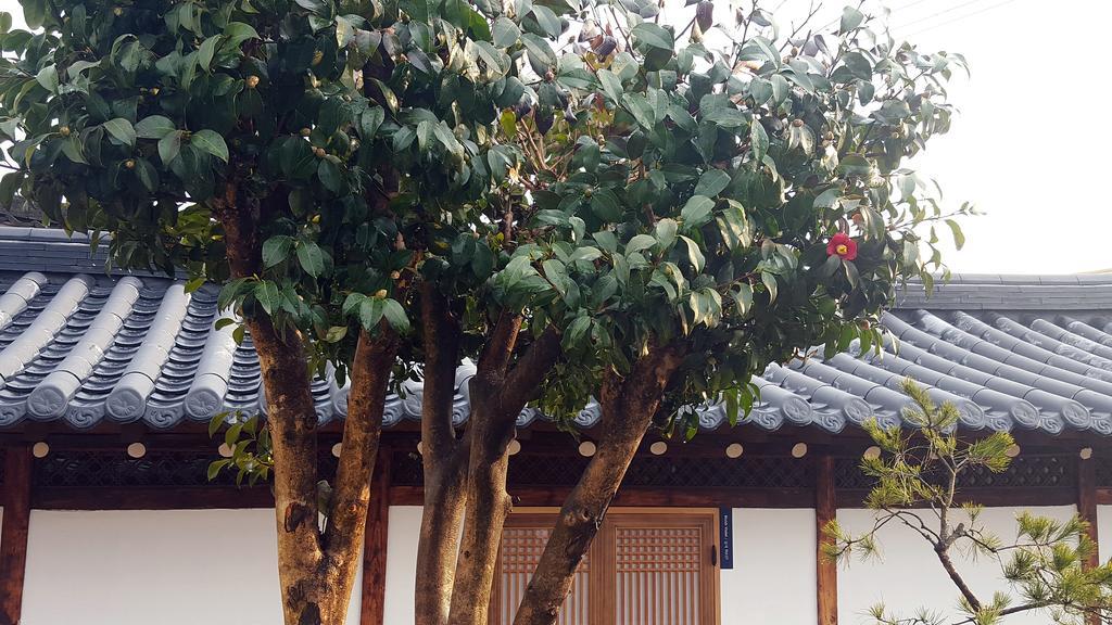 Misori Guesthouse Gwangju Metropolitan City Zewnętrze zdjęcie