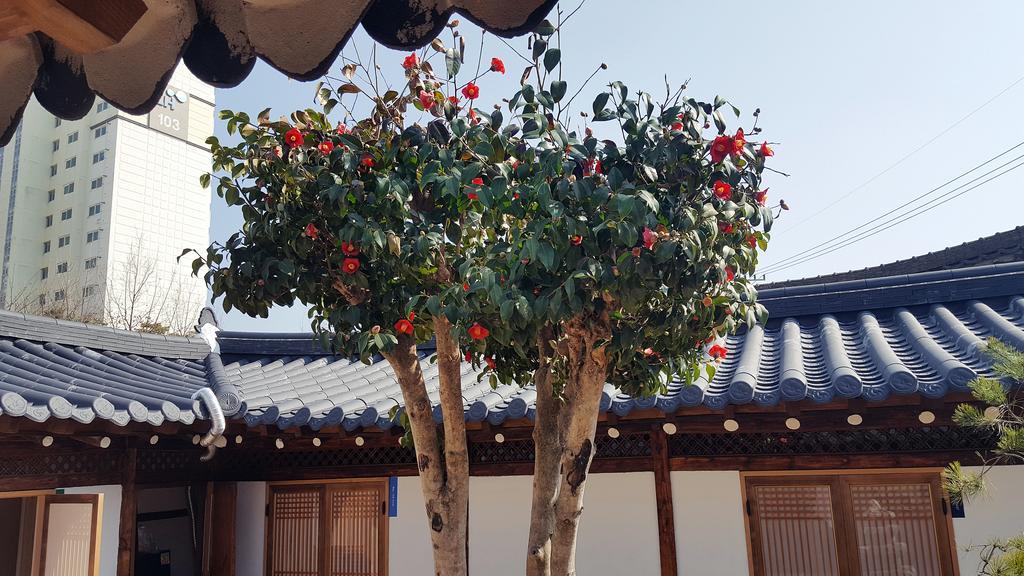 Misori Guesthouse Gwangju Metropolitan City Zewnętrze zdjęcie