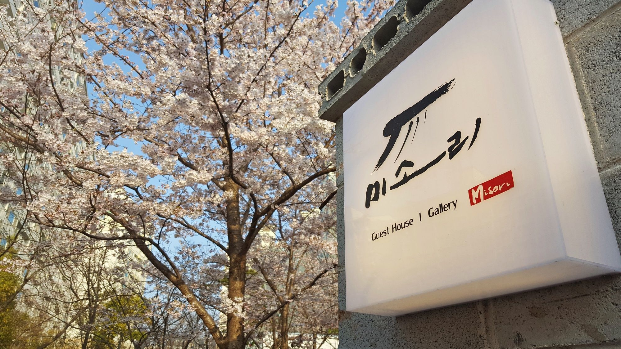 Misori Guesthouse Gwangju Metropolitan City Zewnętrze zdjęcie