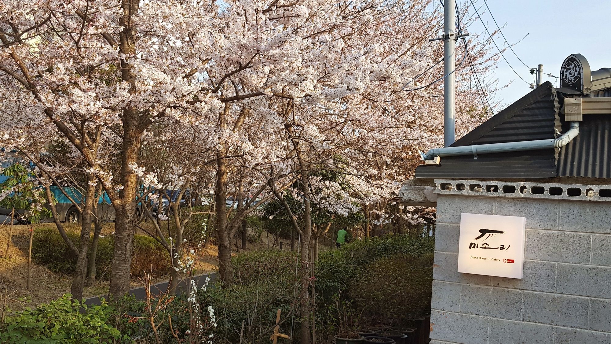 Misori Guesthouse Gwangju Metropolitan City Zewnętrze zdjęcie