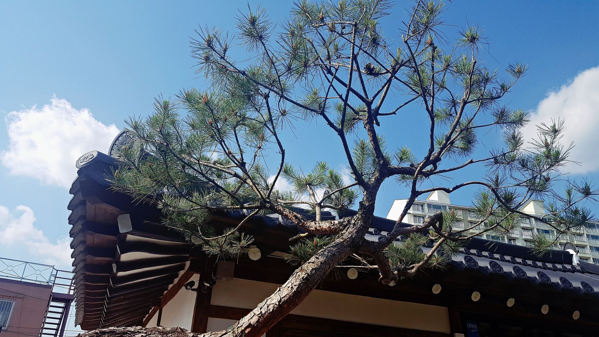 Misori Guesthouse Gwangju Metropolitan City Zewnętrze zdjęcie